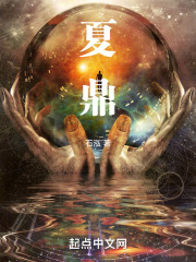 夏鼎小说简介