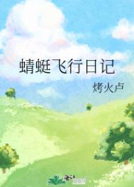 蜻蜓飞行器 动力